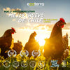 Gallinas libres a pastoreo en pradera natural galardonadas como el mejor huevo de gallina libre de Chile por Ecoterra