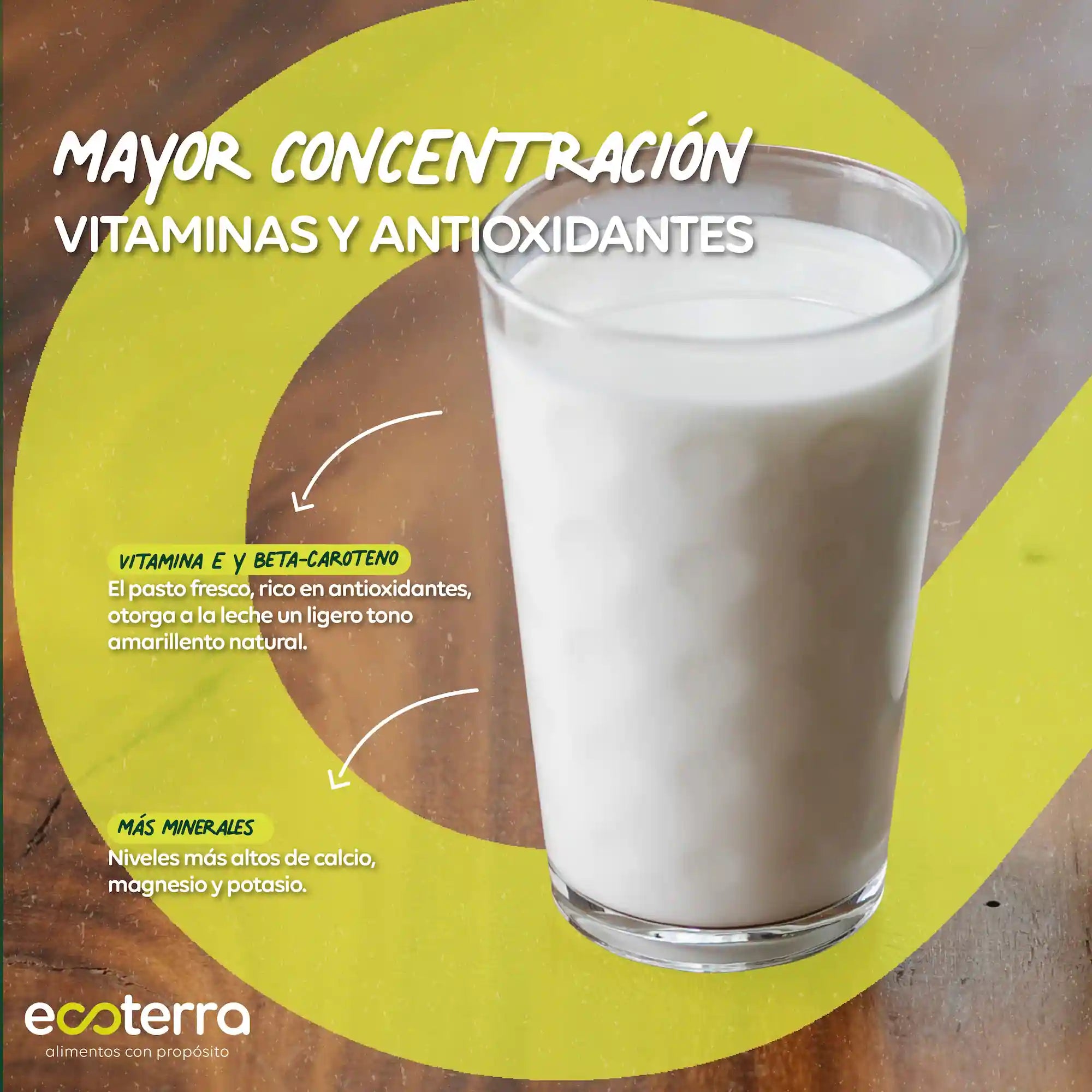 Vaso de leche de vacas libres a pastoreo Ecoterra destacando mayor concentración de vitamina E, beta-caroteno, antioxidantes y minerales como calcio, magnesio y potasio.