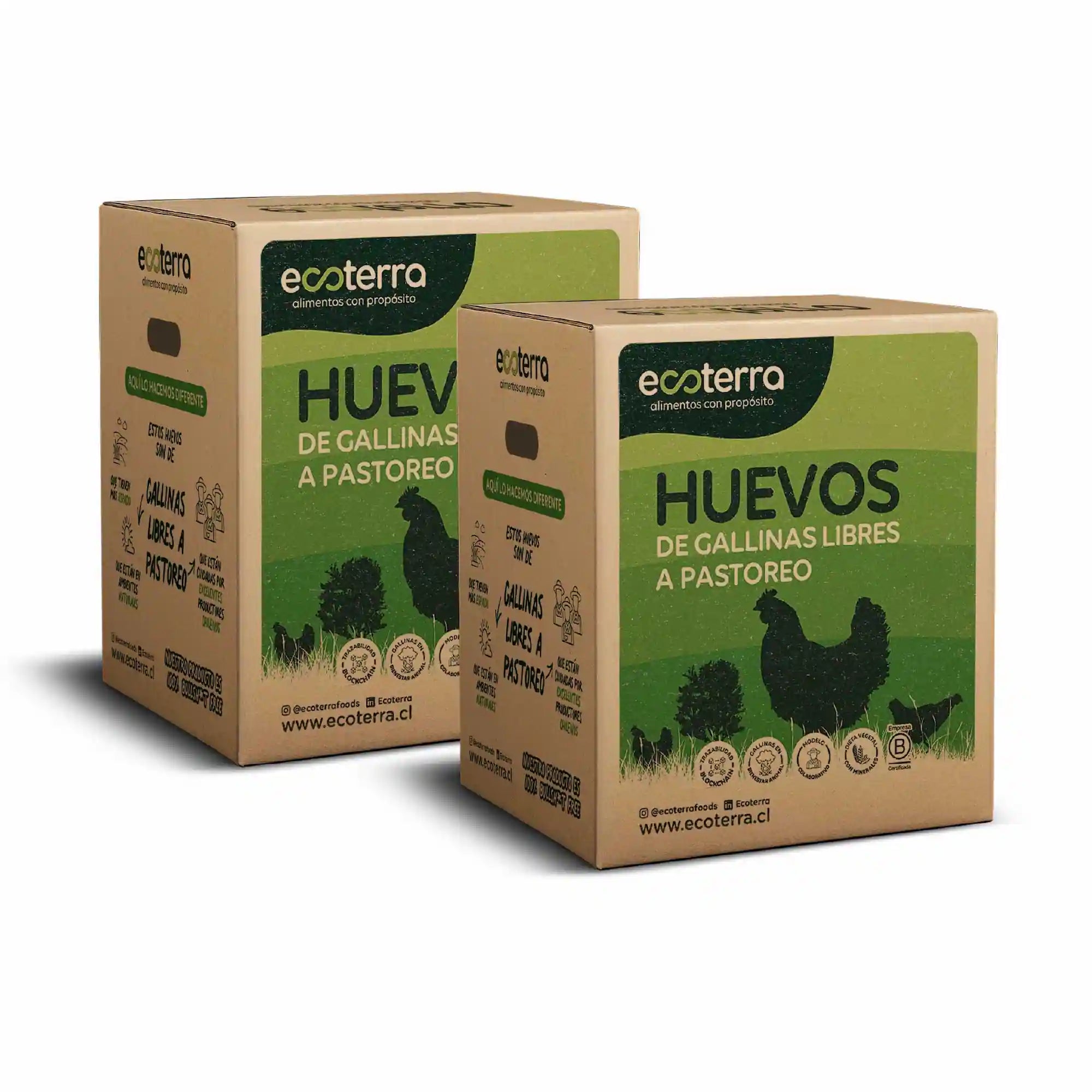 Pack de 4 cajas máster de huevos de gallinas libres a pastoreo Ecoterra para venta mayorista con certificación Certified Humane.
