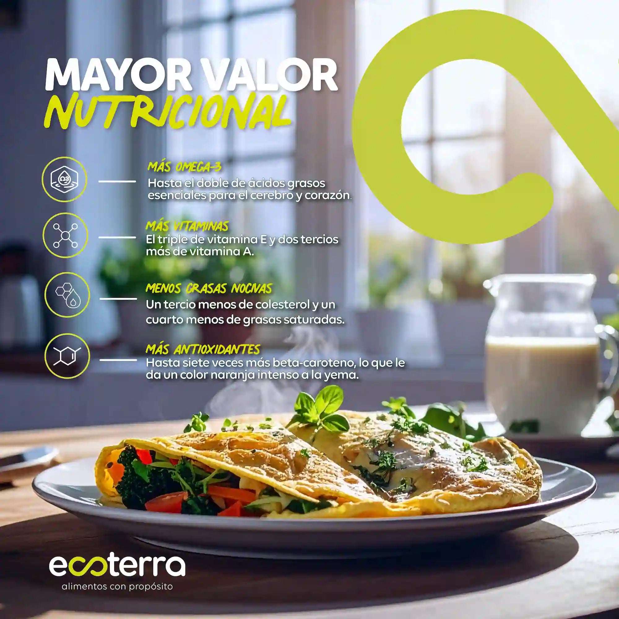 Propiedades nutricionales y mayor aporte de omega-3 en huevos de gallinas libres a pastoreo Ecoterra